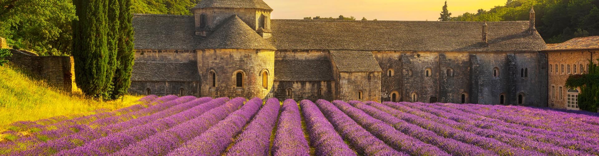 Frankreich: violettes Lavendelfeld vor einem historischen Gebäude