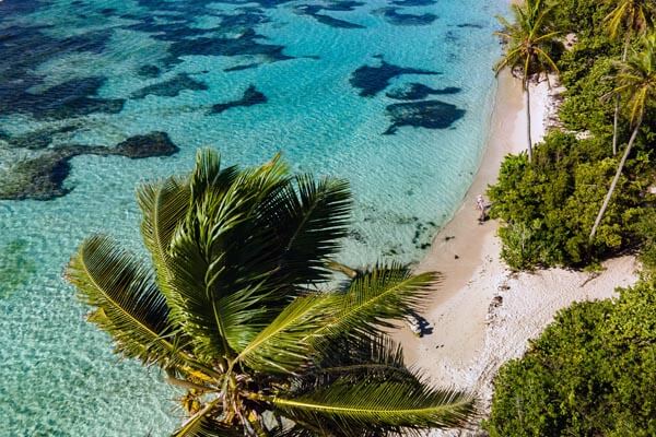Karibische Insel Guadeloupe - türkisblaues Meer, weißer Sandstrand und Palmen